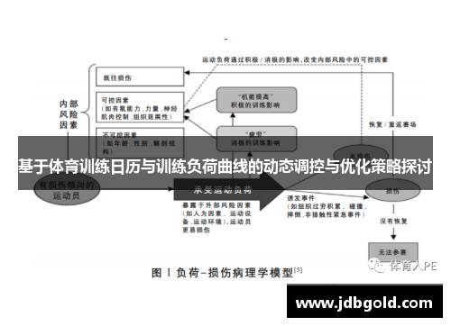 基于体育训练日历与训练负荷曲线的动态调控与优化策略探讨